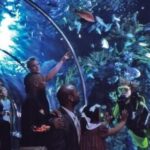 NOLA with Kids is Terrific | Birminghamparent.com