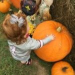 Best Reasons To Visit Faye Whittemore Farms | Birminghamparent.com