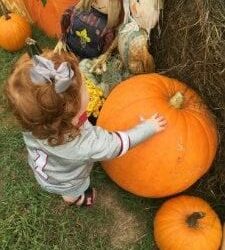 Best Reasons To Visit Faye Whittemore Farms | Birminghamparent.com