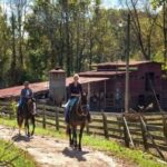 Looking for a Thanksgiving Destination? | Birminghamparent.com