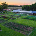 Jones Valley Teaching Farm's 2022 Farm Stand Opens to the Public