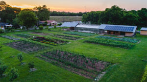 Jones Valley Teaching Farm's 2022 Farm Stand Opens to the Public