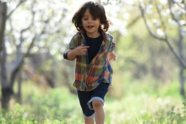 Ticks and Lyme Disease